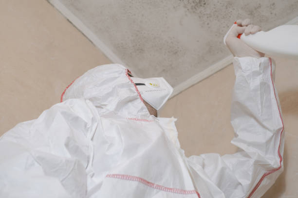 Best Certified Mold Removal  in Bessemer City, NC